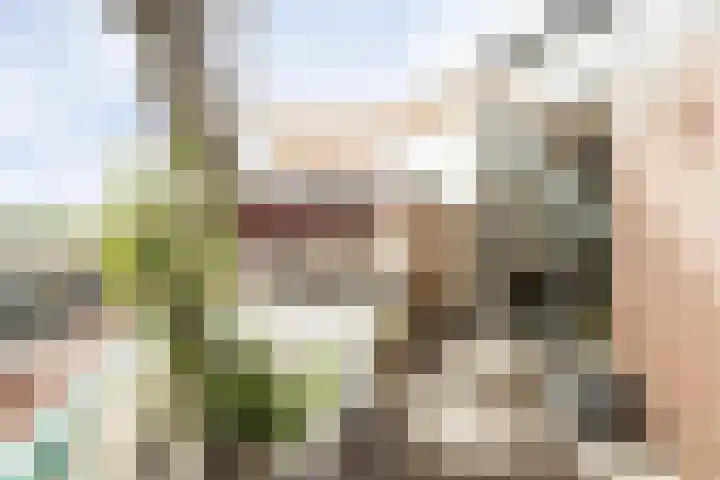 Woenselse Markt 30 C Eindhoven thumbnail 8