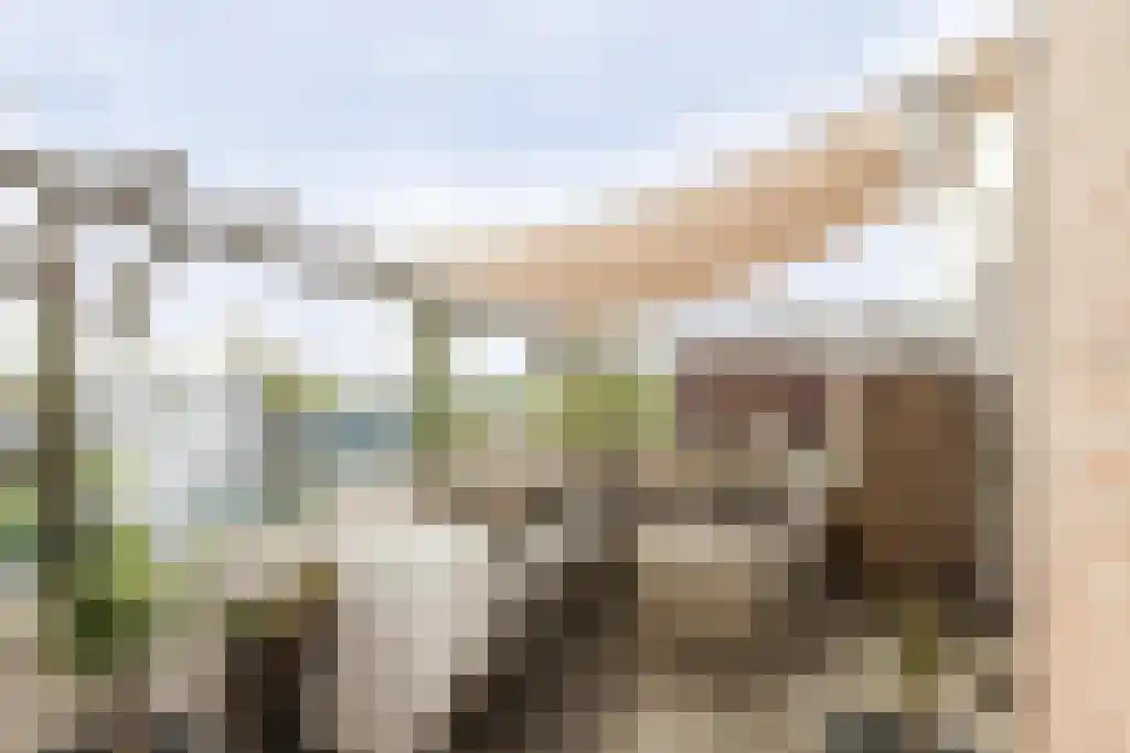 Woenselse Markt 30 C Eindhoven thumbnail 9