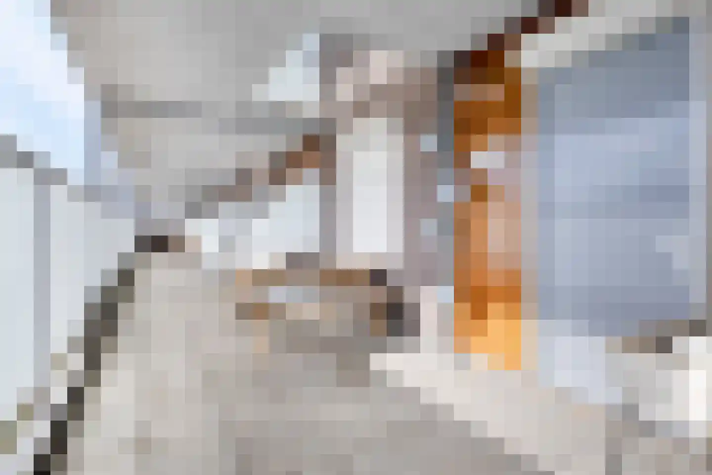 Woenselse Markt 42 A Eindhoven thumbnail 15