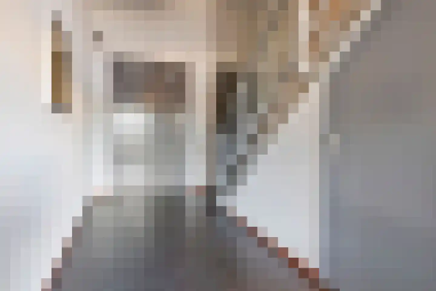 Woenselse Markt 42 C Eindhoven thumbnail 7