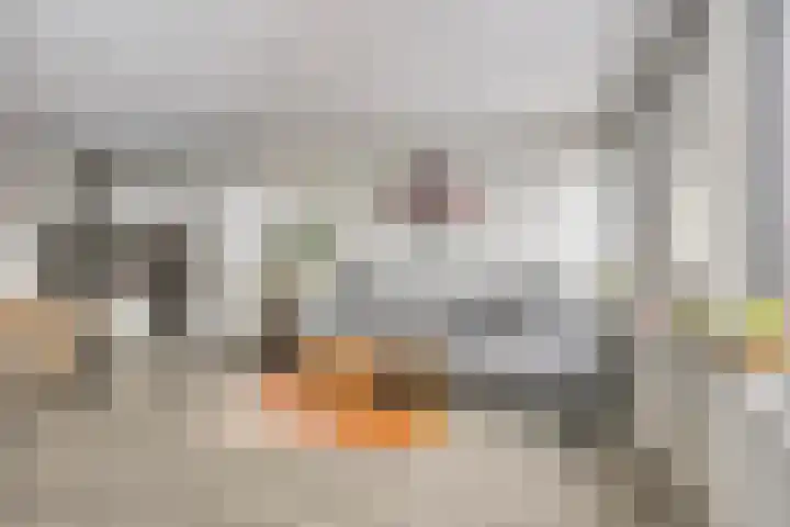 Woenselse Markt 43 Eindhoven thumbnail 21