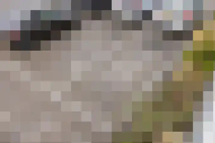 Woenselse Markt 43 Eindhoven thumbnail 33