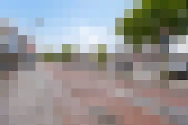 Woenselse Markt 43 Eindhoven thumbnail 35