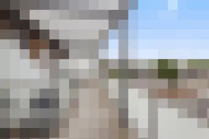 Woenselse Markt 44 B Eindhoven thumbnail 12