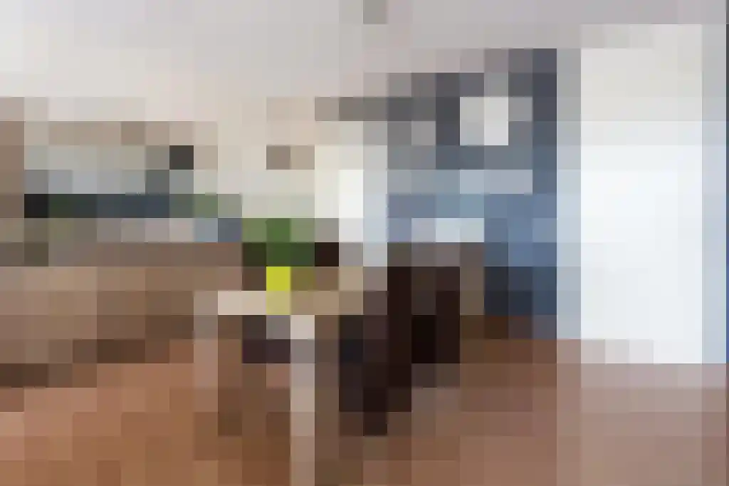 Woenselse Markt Eindhoven thumbnail 5