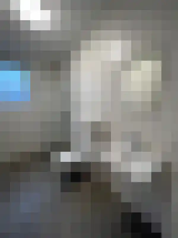 Woenselsestraat 298 Eindhoven thumbnail 5