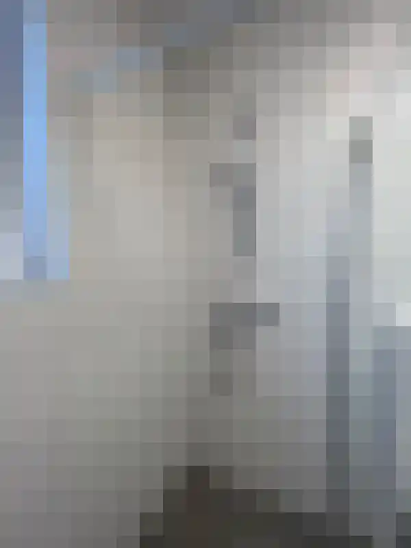 Woenselsestraat 298 Eindhoven thumbnail 6