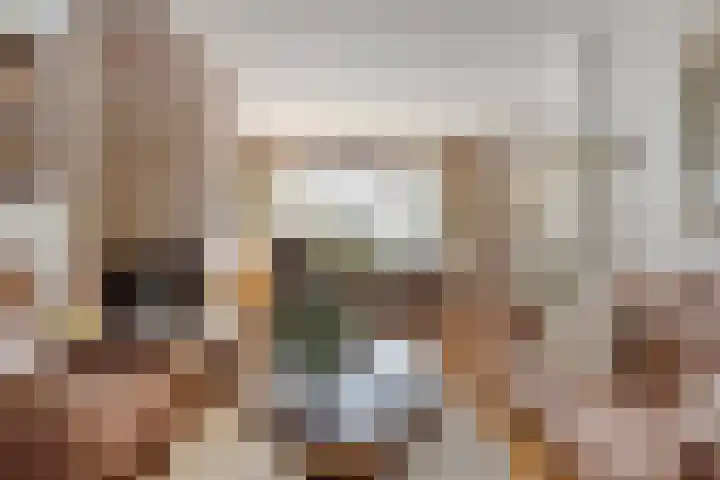 Woenselsestraat 307 Eindhoven thumbnail 12