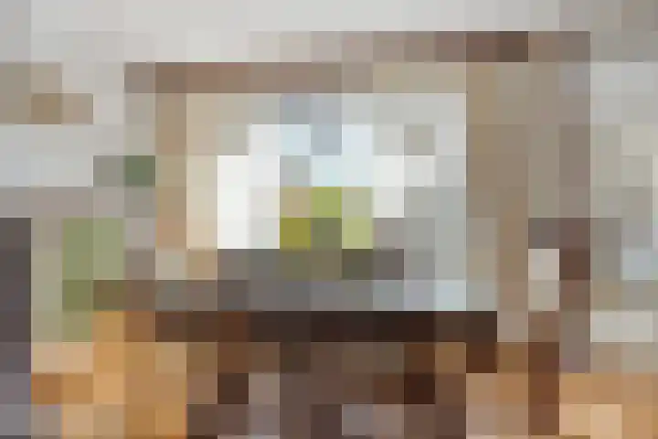 Woenselsestraat 307 Eindhoven thumbnail 14