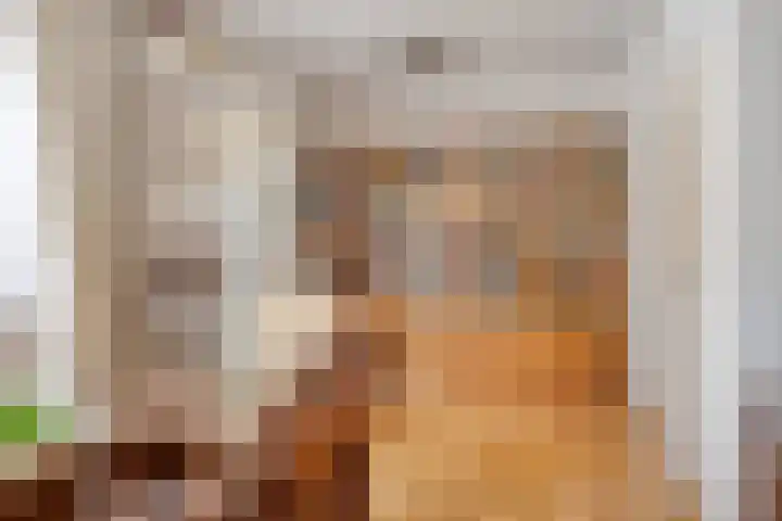 Woenselsestraat 307 Eindhoven thumbnail 15