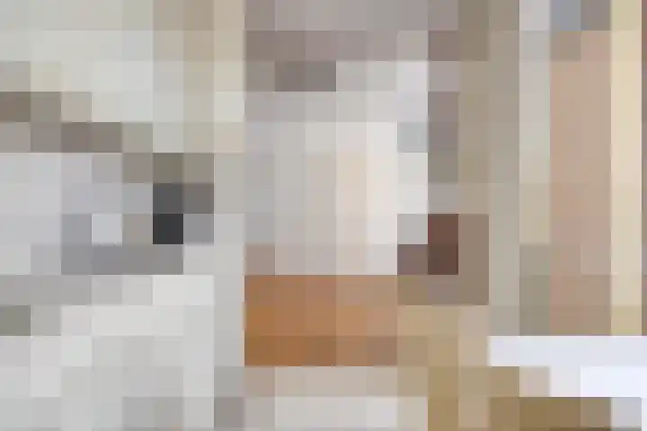 Woenselsestraat 307 Eindhoven thumbnail 17