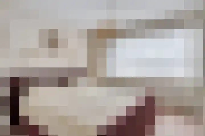 Woenselsestraat 307 Eindhoven thumbnail 20
