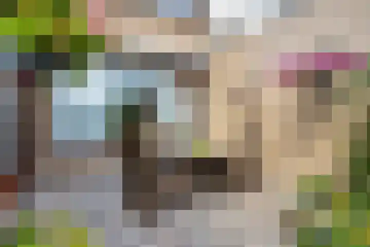 Woenselsestraat 307 Eindhoven thumbnail 28