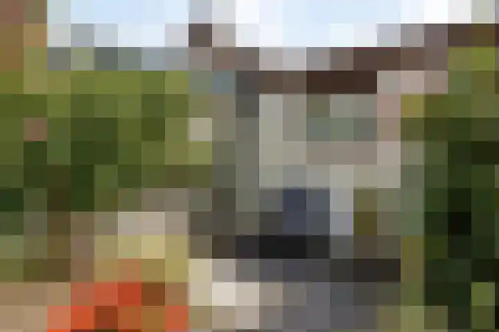 Woenselsestraat 307 Eindhoven thumbnail 29