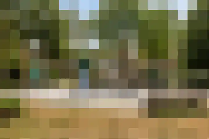 Woenselsestraat 307 Eindhoven thumbnail 31