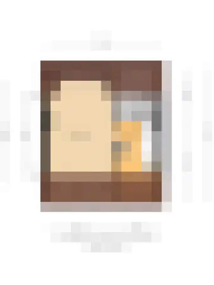 Woenselsestraat 307 Eindhoven thumbnail 36