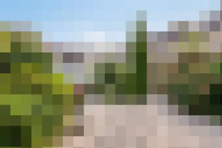 Woenselsestraat 307 Eindhoven thumbnail 5