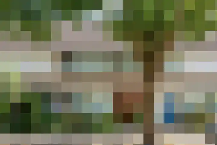 Woenselsestraat 307 Eindhoven thumbnail 6