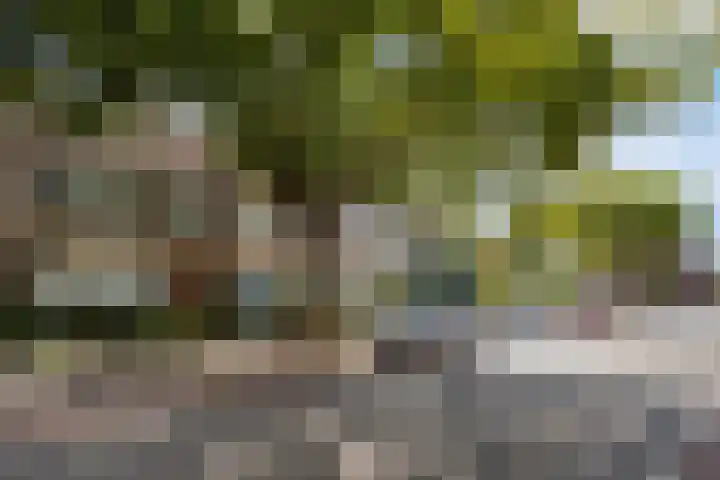 Woenselsestraat 307 Eindhoven thumbnail 7