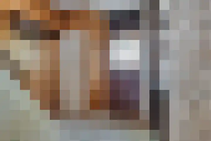 Woenselsestraat 307 Eindhoven thumbnail 8
