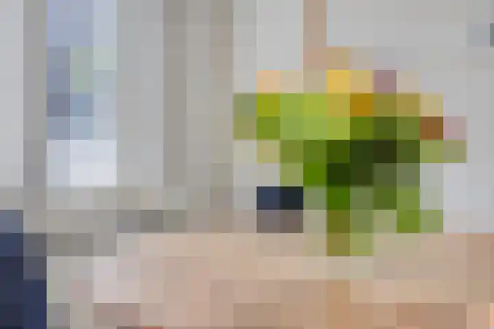 Woenselsestraat 332 A Eindhoven thumbnail 14