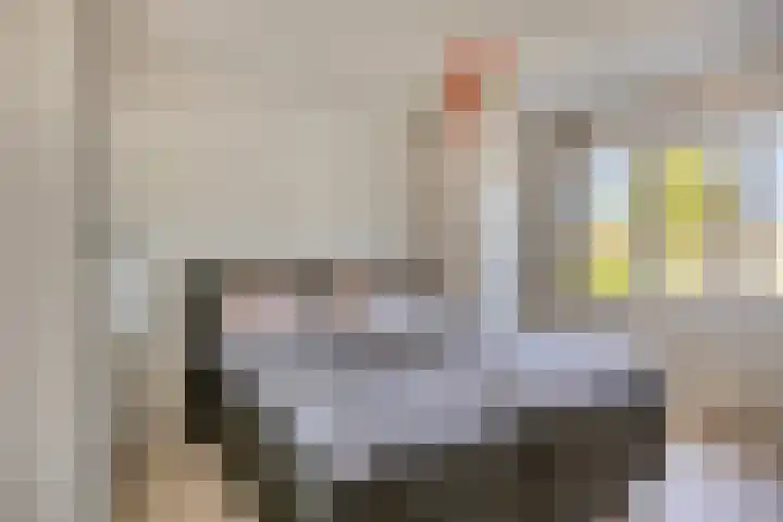 Woenselsestraat 332 A Eindhoven thumbnail 22