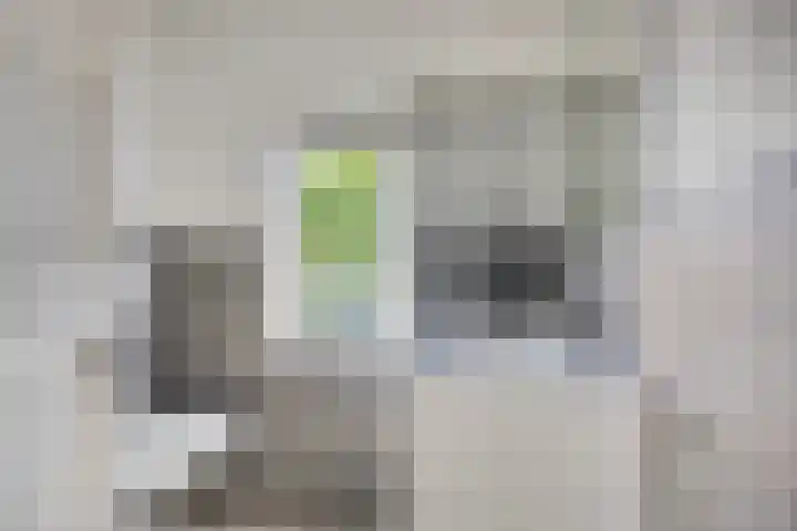 Woenselsestraat 332 A Eindhoven thumbnail 25