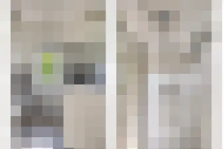 Woenselsestraat 332 A Eindhoven thumbnail 26