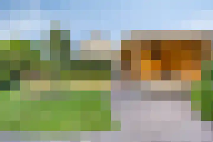 Woenselsestraat 332 A Eindhoven thumbnail 38