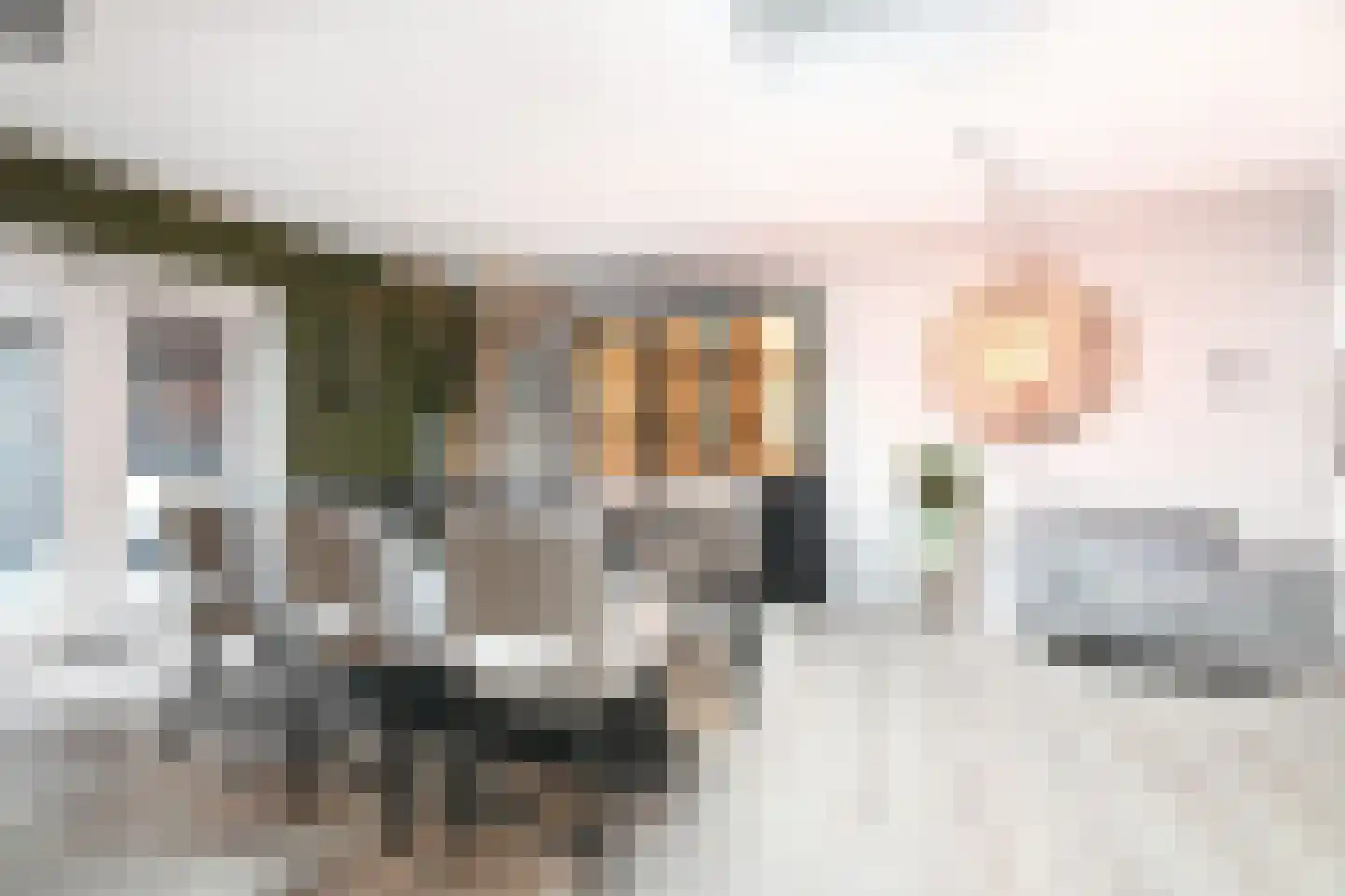 Woenselsestraat 339 Eindhoven thumbnail 16