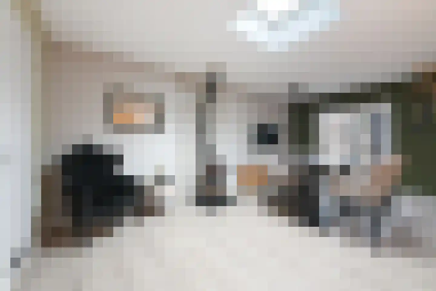 Woenselsestraat 339 Eindhoven thumbnail 17