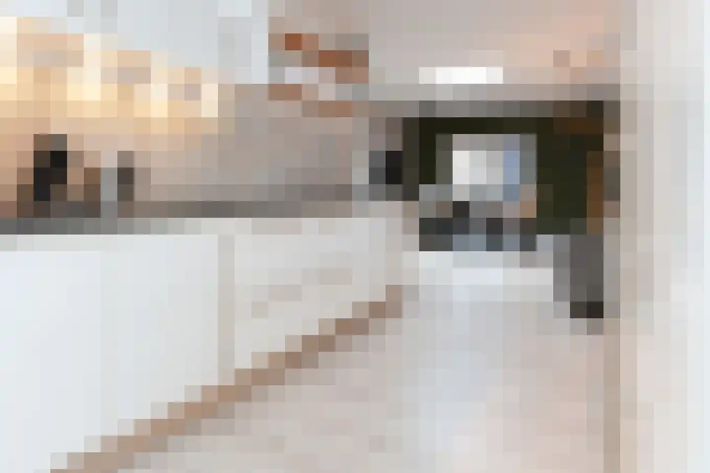 Woenselsestraat 339 Eindhoven thumbnail 18