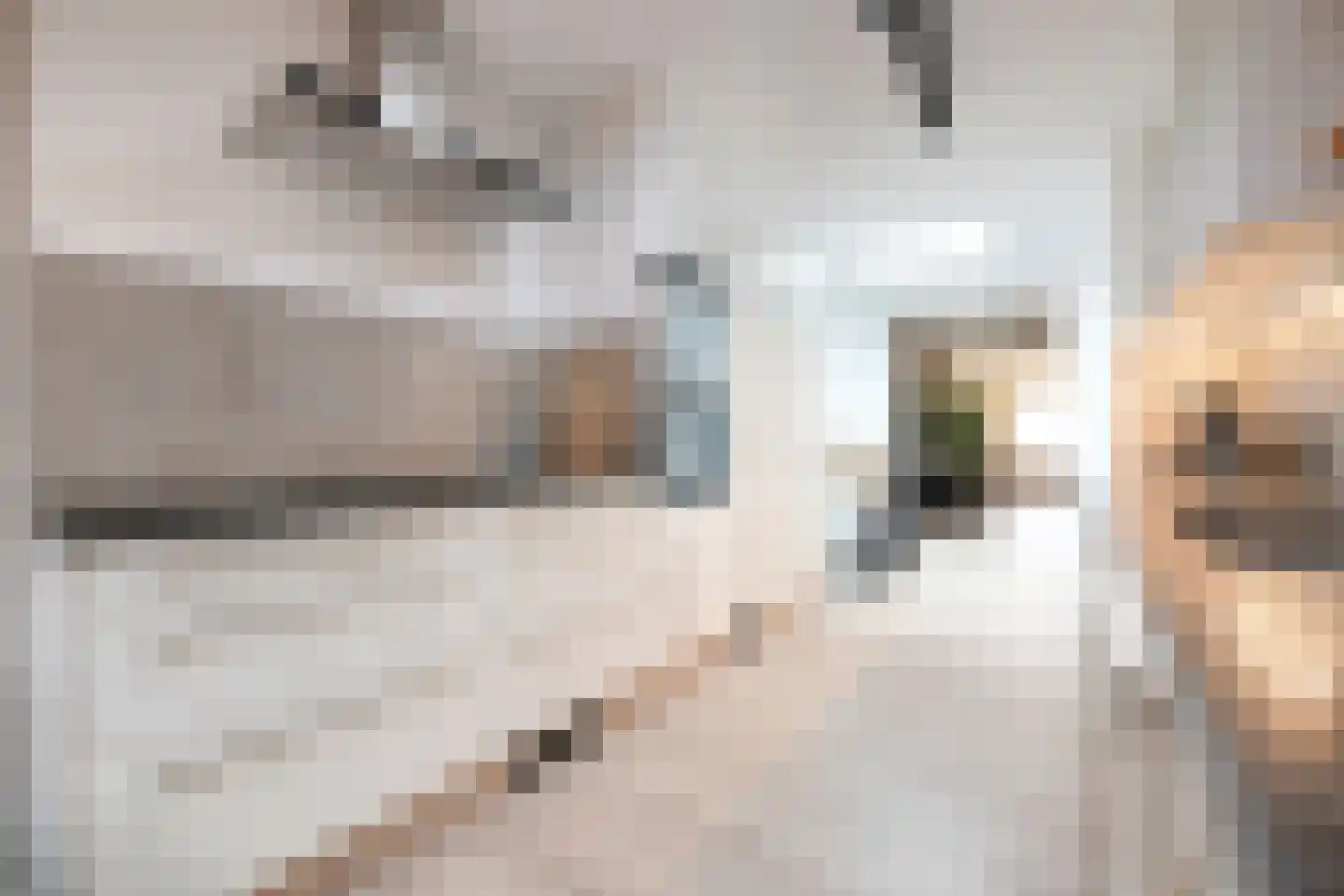 Woenselsestraat 339 Eindhoven thumbnail 19