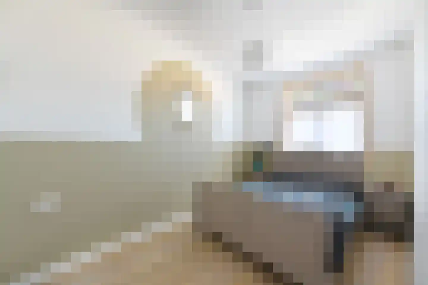 Woenselsestraat 339 Eindhoven thumbnail 28