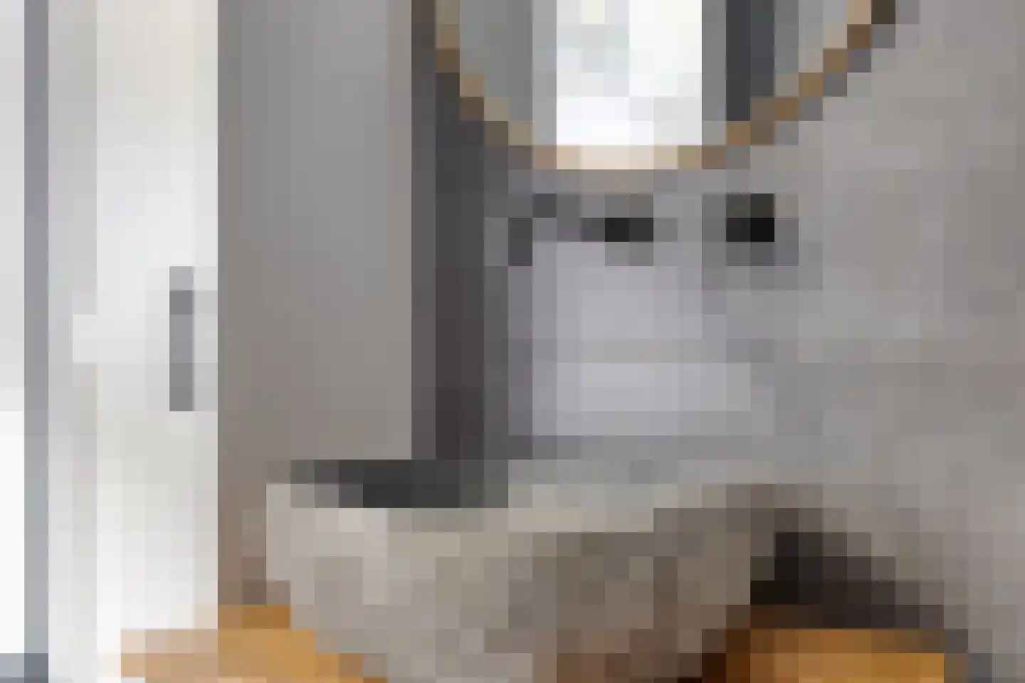 Woenselsestraat 339 Eindhoven thumbnail 33