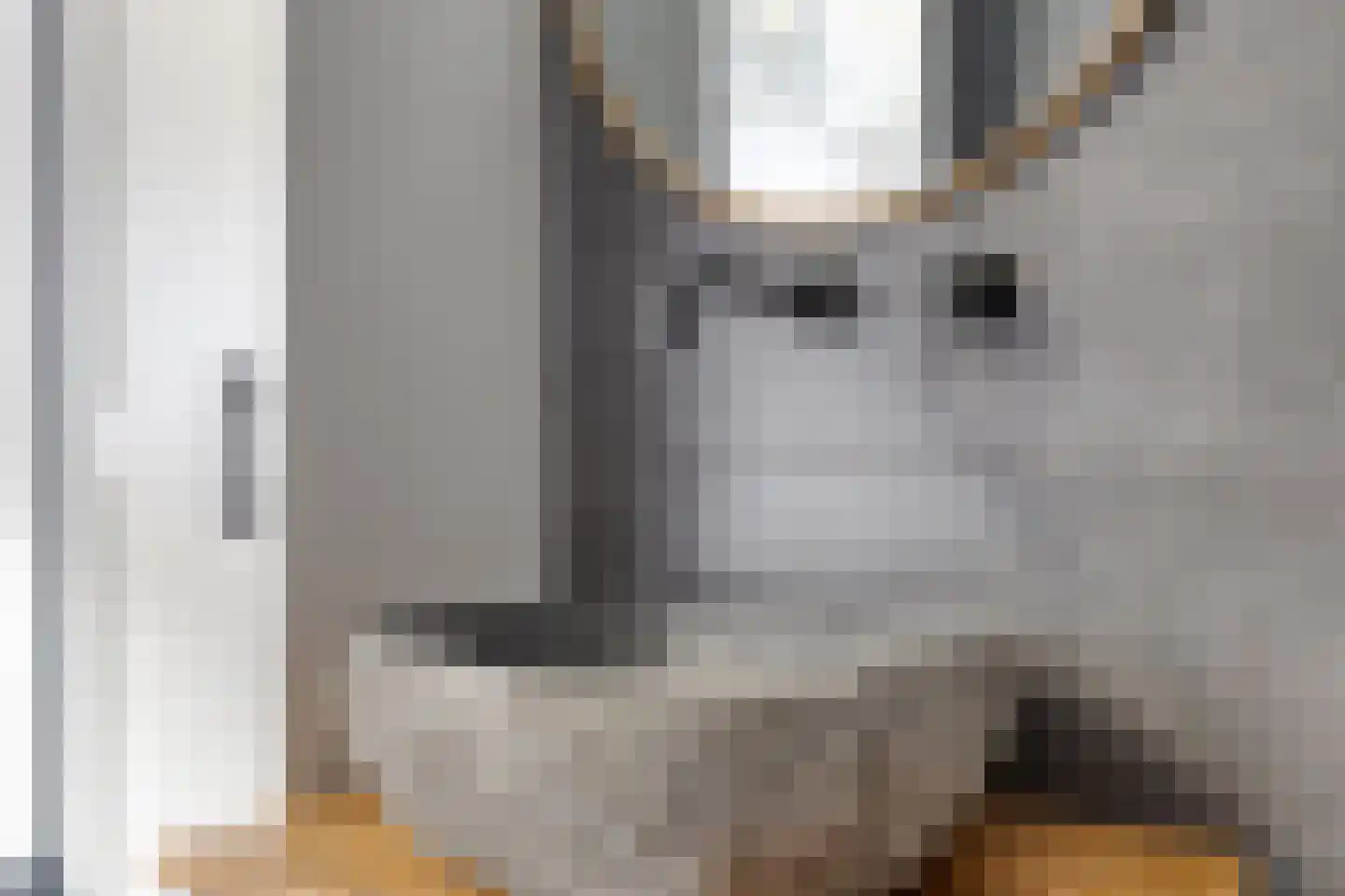 Woenselsestraat 339 Eindhoven thumbnail 33