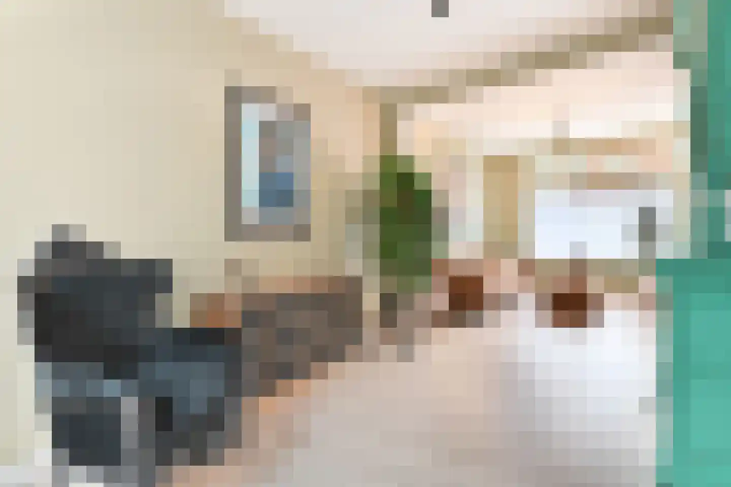 Woenselsestraat 339 Eindhoven thumbnail 4