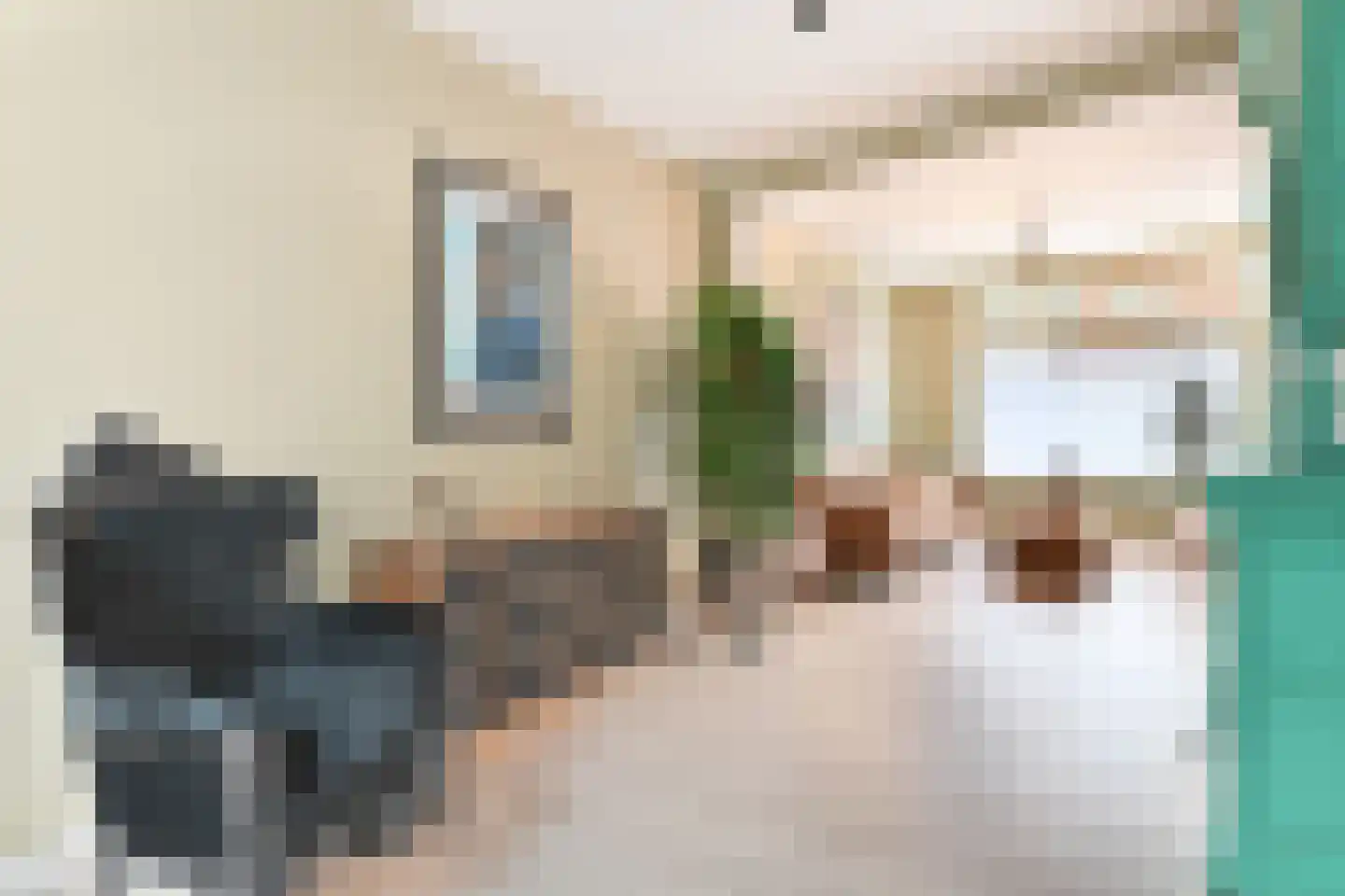 Woenselsestraat 339 Eindhoven thumbnail 9
