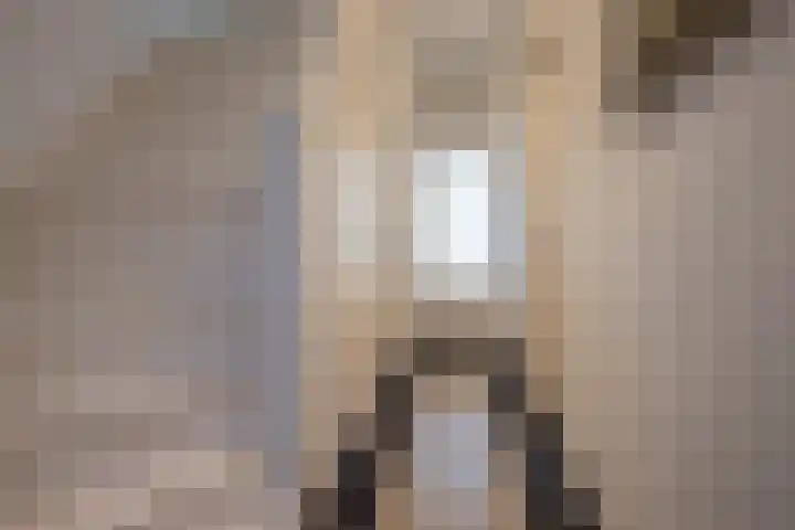 Woenselsestraat 345 Eindhoven thumbnail 10