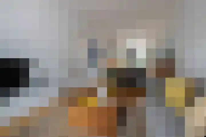 Woenselsestraat 345 Eindhoven thumbnail 14