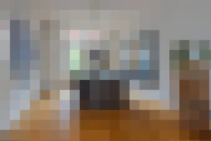 Woenselsestraat 345 Eindhoven thumbnail 15