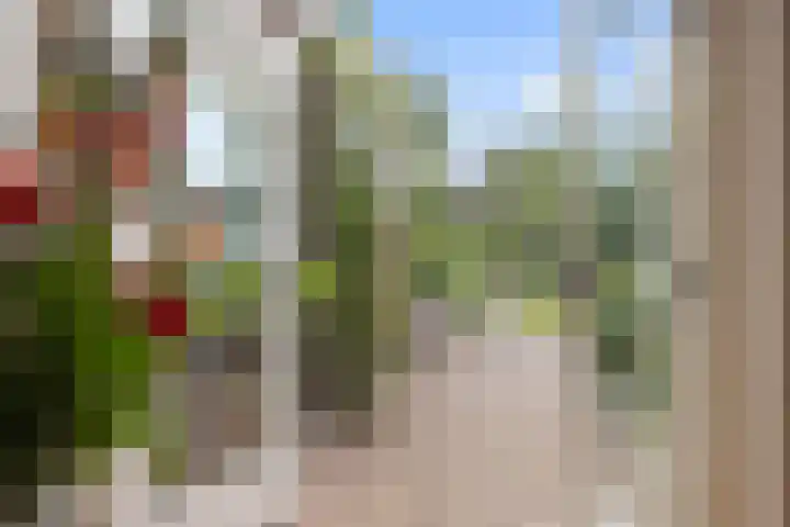 Woenselsestraat 345 Eindhoven thumbnail 19