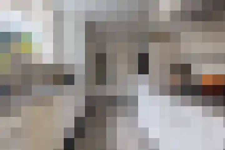 Woenselsestraat 345 Eindhoven thumbnail 20