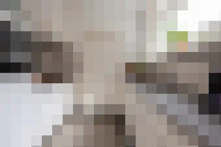 Woenselsestraat 345 Eindhoven thumbnail 21
