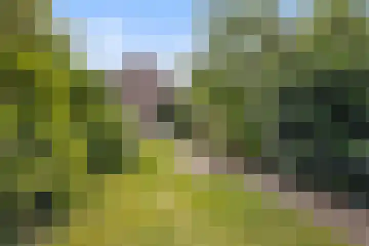 Woenselsestraat 345 Eindhoven thumbnail 30