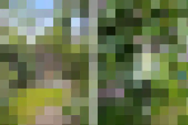 Woenselsestraat 345 Eindhoven thumbnail 32