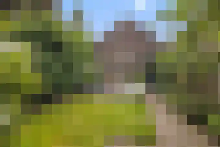 Woenselsestraat 345 Eindhoven thumbnail 33
