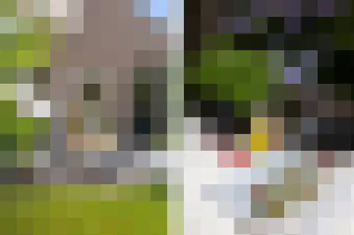 Woenselsestraat 345 Eindhoven thumbnail 36