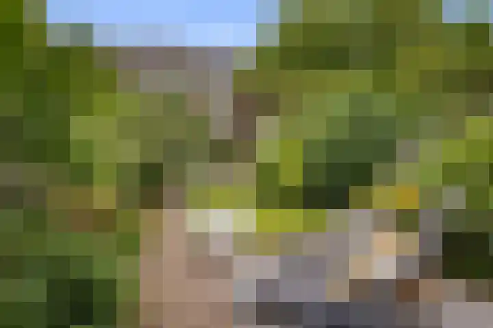 Woenselsestraat 345 Eindhoven thumbnail 37
