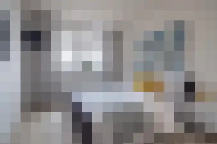 Woenselsestraat 345 Eindhoven thumbnail 4
